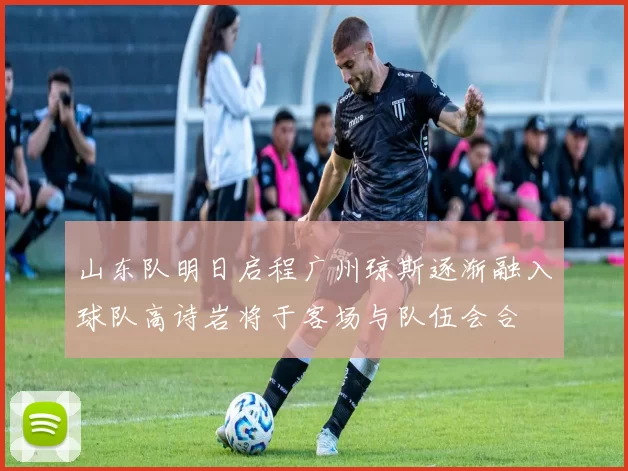 山东队明日启程广州琼斯逐渐融入球队高诗岩将于客场与队伍会合